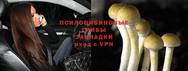 гашик Алексеевка