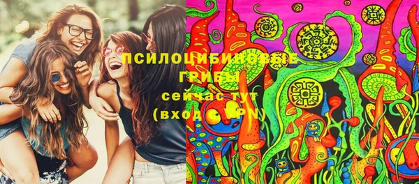 гашик Алексеевка