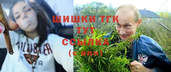 гашик Алексеевка