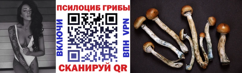 Галлюциногенные грибы Magic Shrooms  Лаишево 