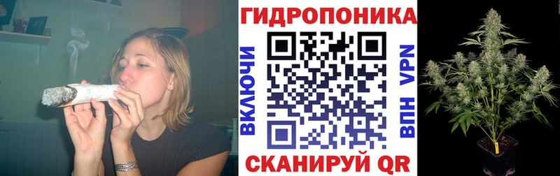 Бошки марихуана план  Лаишево 